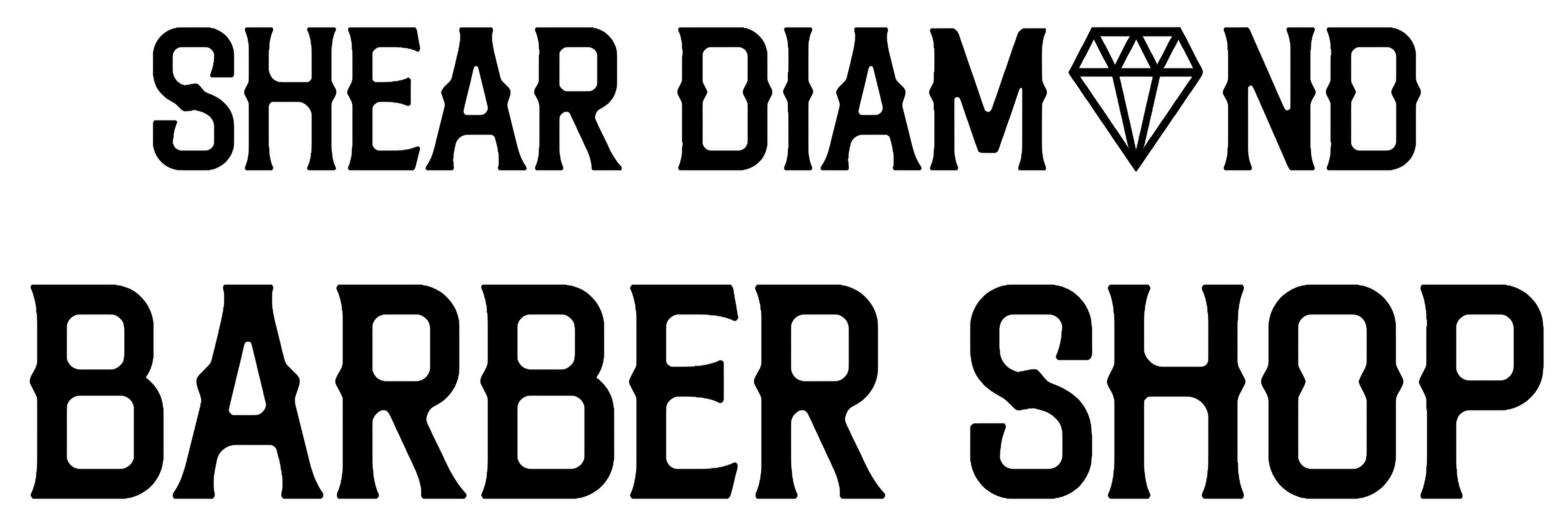 Partner Logo 2